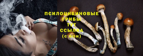 мет Каменногорск