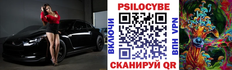 Псилоцибиновые грибы Cubensis  магазин продажи наркотиков  Кяхта 